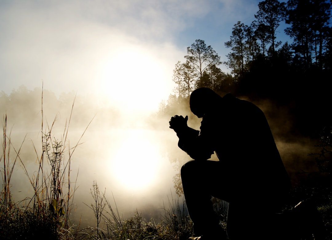 Clear the Fog: Why Your Brain Feels Slow and How to Fix It