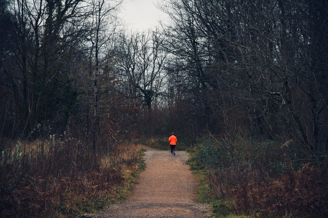 Zone 2: The Cardio Most Men Are Too Proud to Do